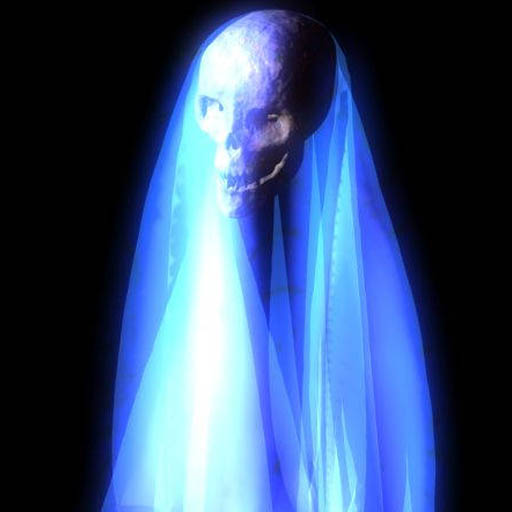 picture of Megann VanderMolen
